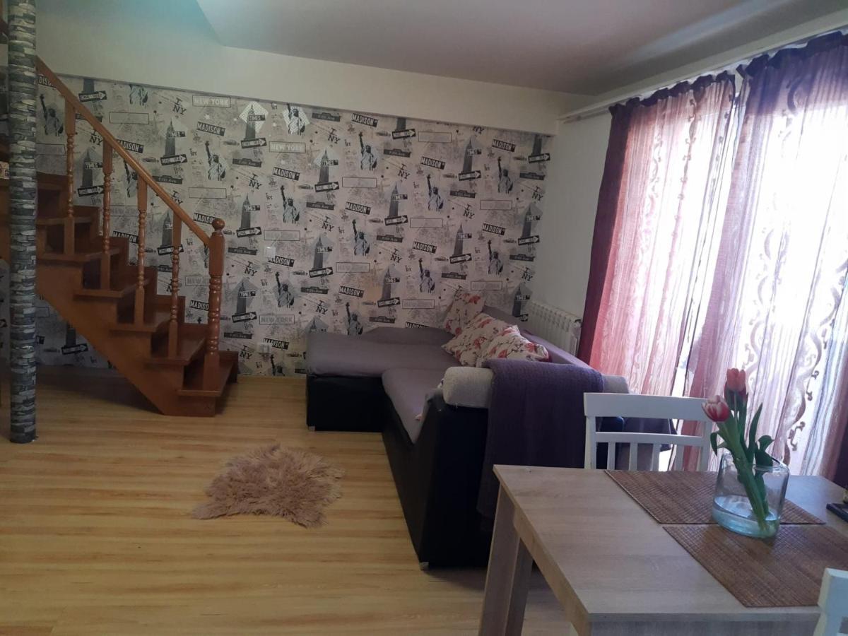 Apartament 3 Camere Râmnicu Vâlcea エクステリア 写真