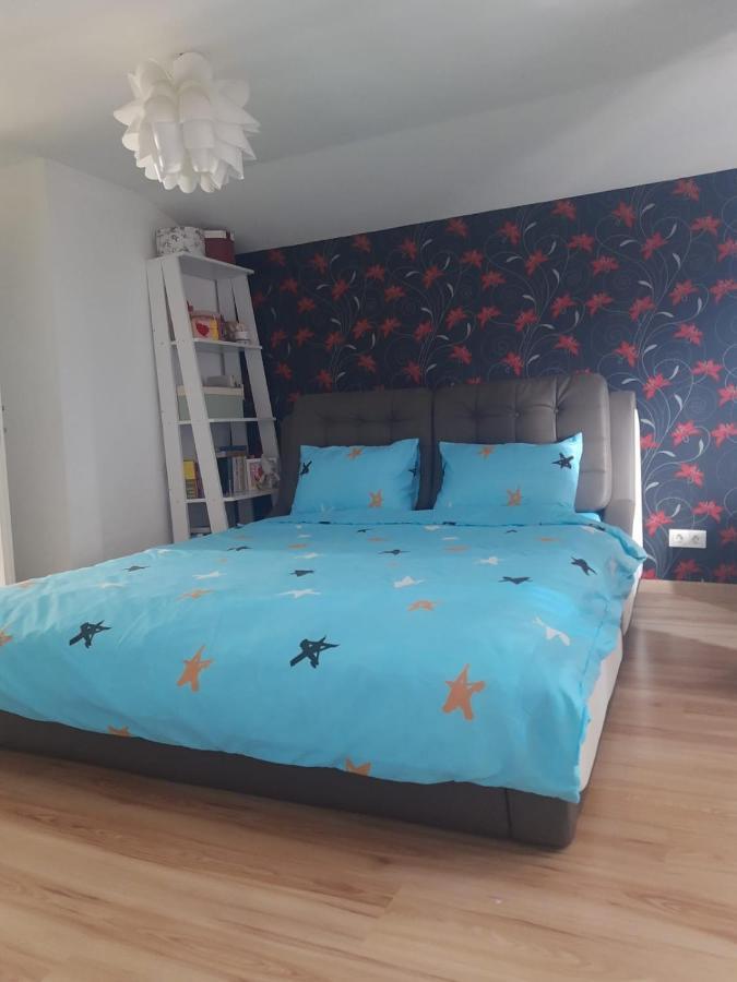 Apartament 3 Camere Râmnicu Vâlcea エクステリア 写真